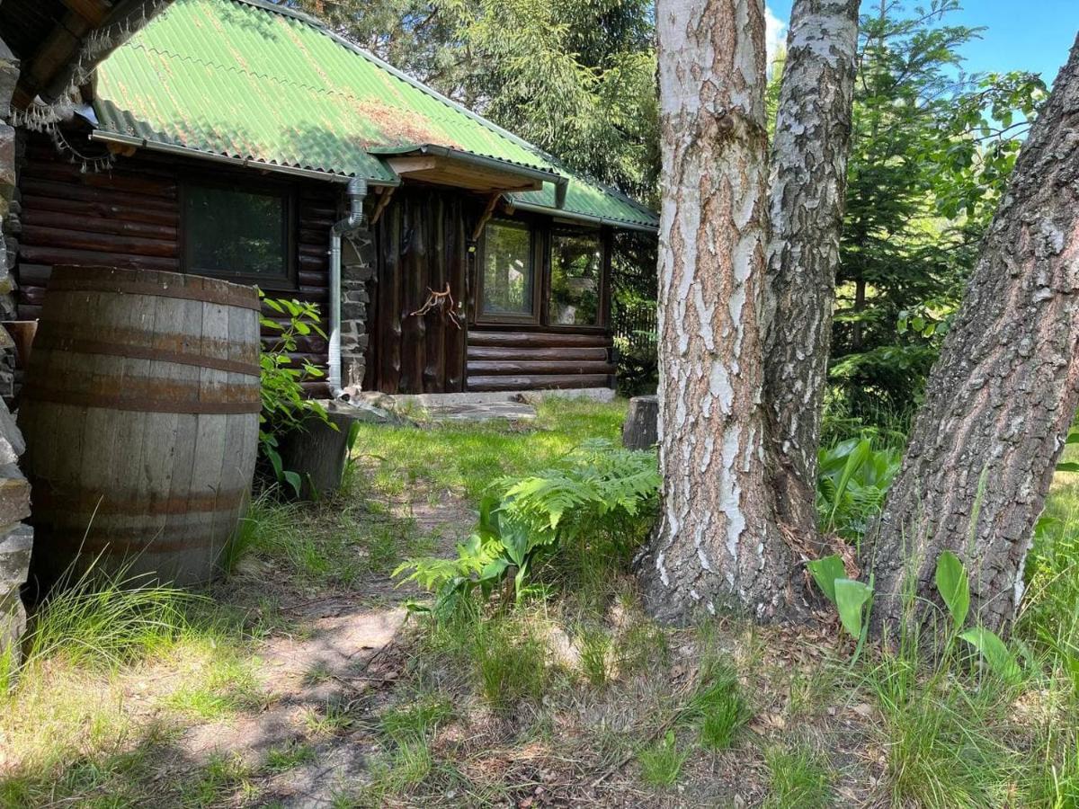 Zelenyi Rai Apartment Svityaz' Bagian luar foto