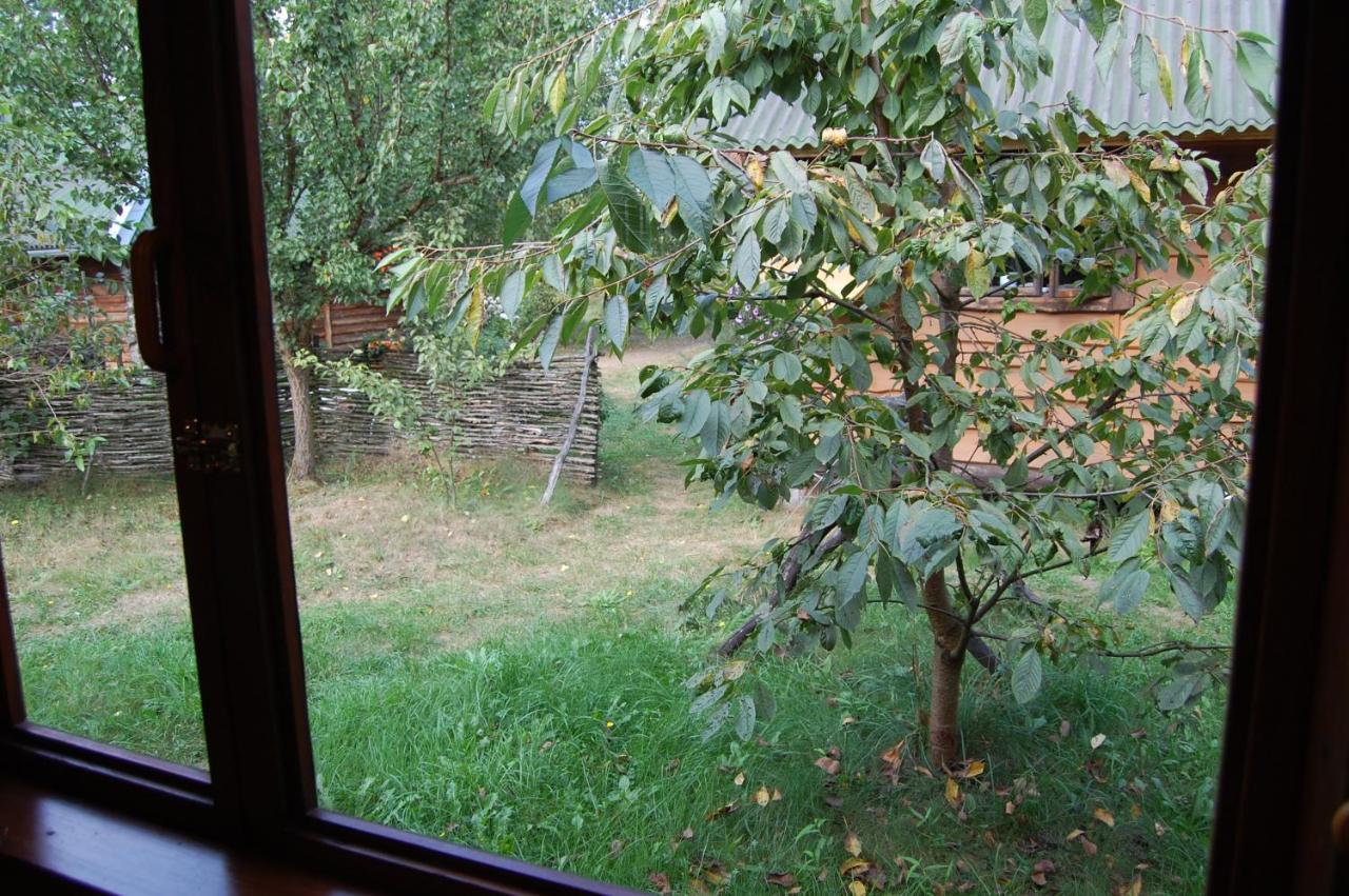 Zelenyi Rai Apartment Svityaz' Bagian luar foto